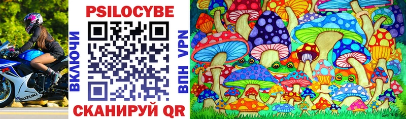 Галлюциногенные грибы Psilocybine cubensis omg онион дарк нет наркотические препараты Ряжск